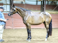 krae-0257