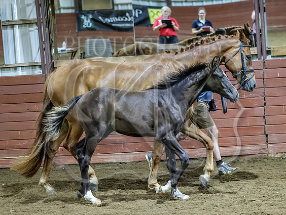 krae-1468
