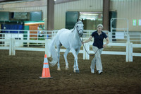 18. Arab SH Mares In-Hand Dressage Type 3 yrs and older