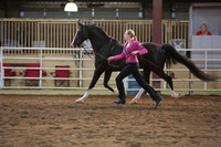 46. HA_AA Supreme Halter Championship
