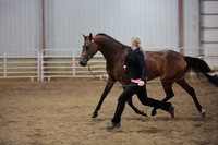 54. Arabian Mares ATH