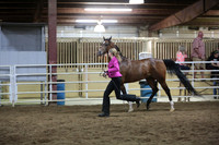 71. Arabian Supreme Halter Championship