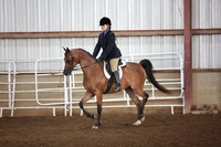 84. Arabian Hunter Pleasure 14-18 JOTR
