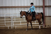 181. A_HA_AA Pleasure Walk_Trot 10 and Under Champ