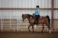 183. Arabian_HA_AA Eq Walk_Trot 10 and Under Champ