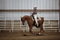 199. Arabian Western Pleasure AATR Championship