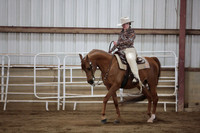 203. Arabian Western Pleasure Championship