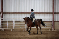 204. Arabian Hunter Pleasure JTR Championship
