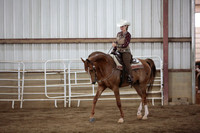 206. HA_AA Western Pleasure Championship