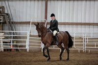 208. HA_AA Hunter Pleasure AATR Championship