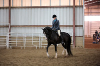 213. HA_AA Hunter Pleasure Championship