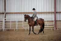 215. Arabian Hunter Pleasure AATR Championship