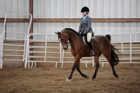 216. Arabian_HA_AA Hunt Seat Equitation Not to Jump JTR Championship