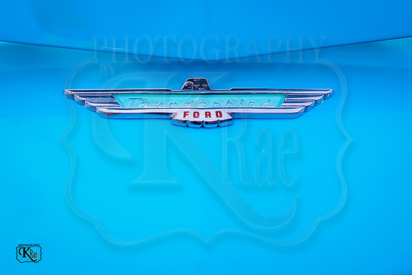 BN5A0795