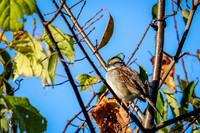 10_14_GilmoreMetroPark