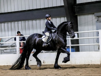 ssssat-0382