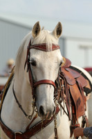 Roping