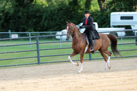 17.Hunter under Saddle – 17 and under