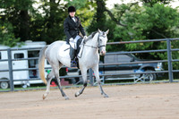 19.ArabianHalf-Arabian Pleasure Championship