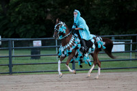 23.ArabianHalf-Arabian Mounted Native Costume