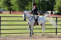 4.ArabianHalfArabian Hunter Pleasure