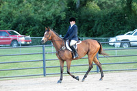 5.English Pleasure – walk and trot – 18 and over