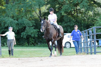 9.Hunter under Saddle