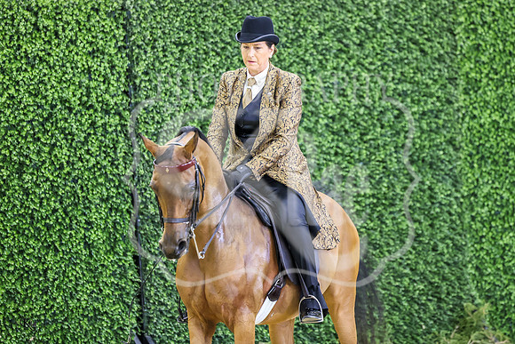 KRae-4579
