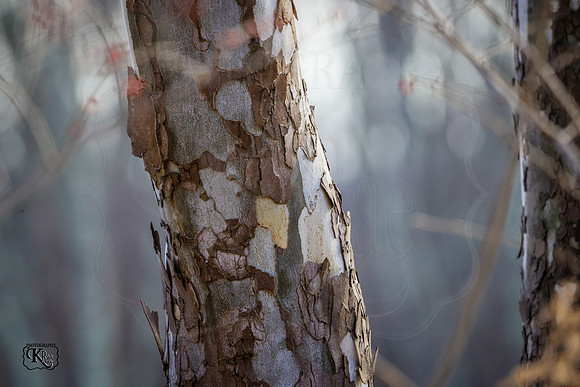 BN5A3728