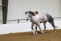 5 Half A_L Geldings ATH