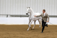 8 A_L Mares 3 years and over