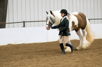 18 Opportunity Halter Mares open to all breeds all ages