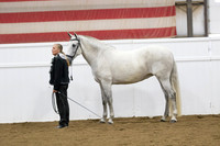 14 A_L Mares all ages ATH