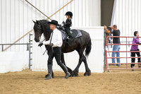 45 Region 5 Champion Friesian Lead line Equitation ~ 6 and under