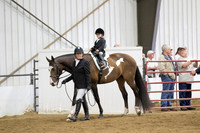 46 Opportunity Lead line Equitation ~ 6 and under, open to all breeds