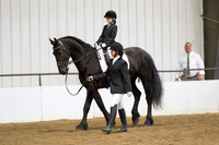 47 Region 5 Champion Friesian Lead line Equitation Walk-Trot ~ 10 and under