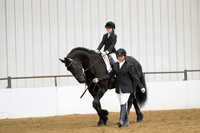 48 Opportunity Lead line Equitation Walk-Trot ~ 10 and under, open to all breeds