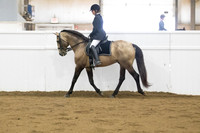 49 A_L Stallions 5 years and over Functionality Class