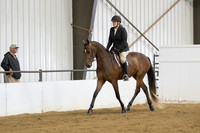 53 $100 Region 5 Champion Part Bred Friesian English Pleasure Hunt Seat Open