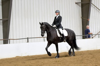 56 $100 Region 5 Champion Friesian Dressage Suitability Open