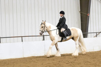 55 Gypsy English Pleasure Walk Trot