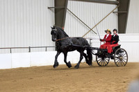 64 $100 Region 5 Champion Friesian Carriage Pleasure Driving Turnout Open