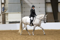 66 A_L Dressage Suitability Open