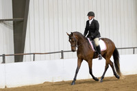 67 $100 Region 5 Champion Part Bred Friesian Dressage Suitability Open