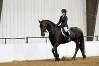 69 $100 Region 5 Champion Friesian Walk Trot Pleasure English Hunt Seat Amateur