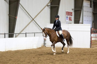 70 Opportunity English Pleasure Hunt Seat Open to all breeds
