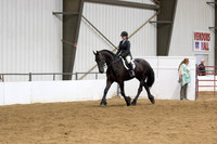 73 $100 Region 5 Champion Friesian Walk-Trot Pleasure Hunt Seat Junior Rider