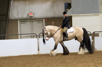 80 Gypsy English Pleasure Walk Trot Canter