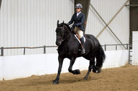 82 Region 5 Champion Friesian English Pleasure Hunt Seat Junior Horse