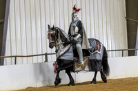 85 $100 Region 5 Champion Friesian Armor Costume